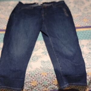 Lane Bryant Dark Blue Ankle Jeans